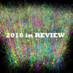 2016 in Review